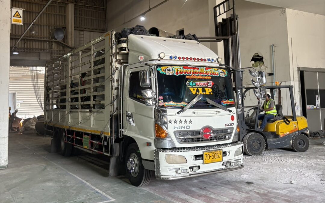 รถ6ล้อรับจ้างขนของรามอินทรา บริการขนย้ายครบวงจร 081 1706533